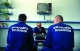 VIP-амністія