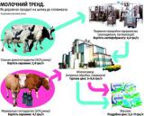Невеселі молочники
