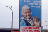 ПР полює на котів