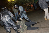 На пташиних правах