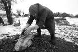 Інший Донбас. Північна частина Донеччини є осередком української ідентичності в регіоні