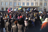 Тихі житомирські стратегії