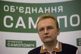Сірий лис