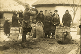 Планове знищення. Як скоювався злочин Голодомору