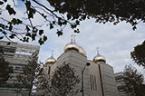 Троянський кінь Путіна