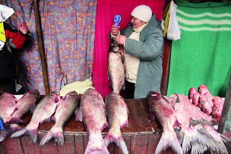 Градижчанка Людмила торгує товсто лобом по 6 грн./кіло. Рибний базар годує місто