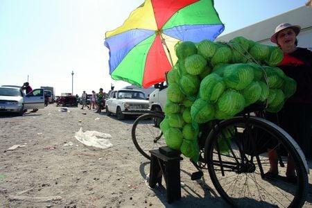 Час рубати капусту. Тетяна Михайлівна володіє землею і велосипедом