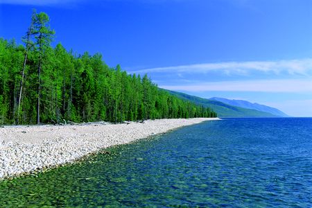 Сибірські ліси "обступають" священе море на сотні кілометрів